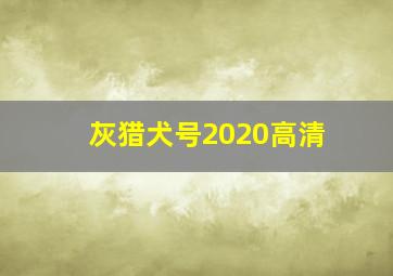 灰猎犬号2020高清