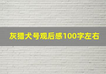 灰猎犬号观后感100字左右