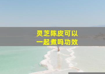 灵芝陈皮可以一起煮吗功效