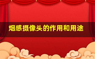 烟感摄像头的作用和用途