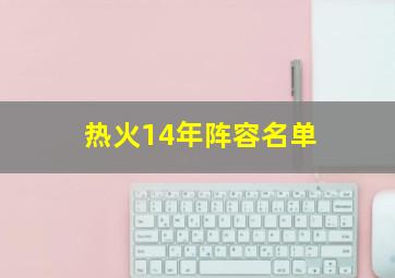 热火14年阵容名单