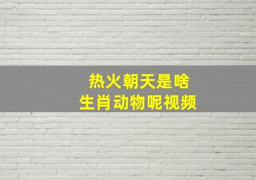 热火朝天是啥生肖动物呢视频