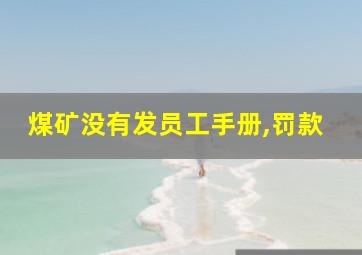 煤矿没有发员工手册,罚款