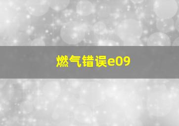 燃气错误e09