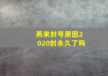 燕来封号原因2020封永久了吗