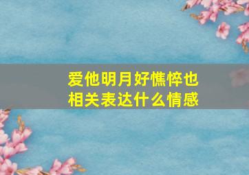 爱他明月好憔悴也相关表达什么情感