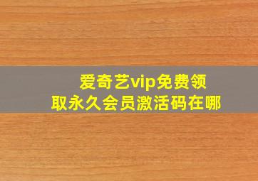 爱奇艺vip免费领取永久会员激活码在哪