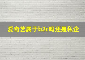 爱奇艺属于b2c吗还是私企