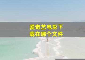 爱奇艺电影下载在哪个文件