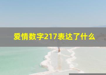 爱情数字217表达了什么