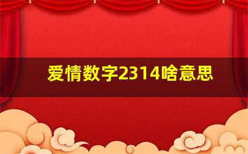 爱情数字2314啥意思