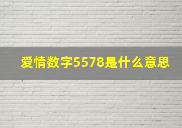 爱情数字5578是什么意思