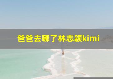 爸爸去哪了林志颖kimi