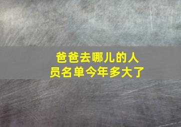 爸爸去哪儿的人员名单今年多大了