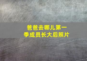 爸爸去哪儿第一季成员长大后照片