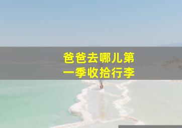 爸爸去哪儿第一季收拾行李