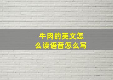 牛肉的英文怎么读语音怎么写