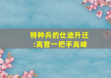 特种兵的仕途升迁:高官一把手高峰