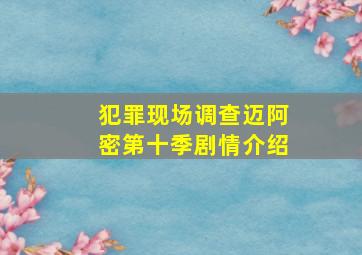 犯罪现场调查迈阿密第十季剧情介绍