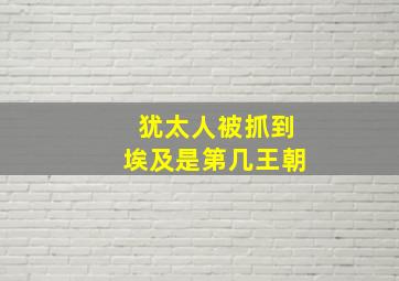 犹太人被抓到埃及是第几王朝