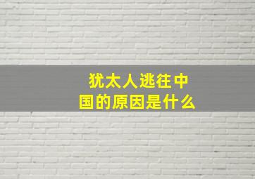 犹太人逃往中国的原因是什么