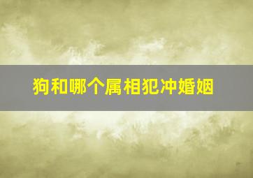 狗和哪个属相犯冲婚姻