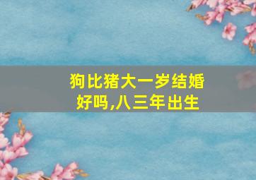 狗比猪大一岁结婚好吗,八三年出生