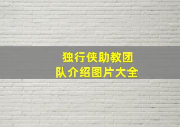 独行侠助教团队介绍图片大全