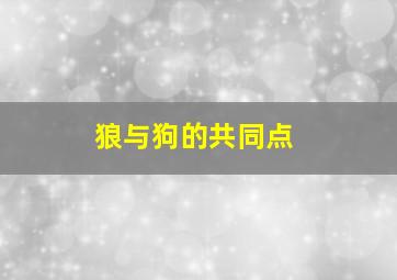 狼与狗的共同点