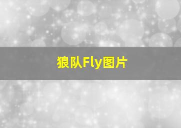 狼队Fly图片