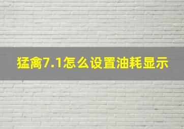 猛禽7.1怎么设置油耗显示