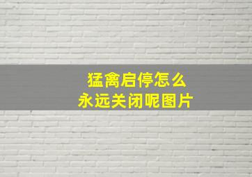 猛禽启停怎么永远关闭呢图片