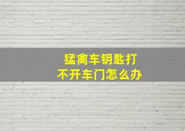 猛禽车钥匙打不开车门怎么办