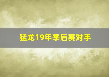 猛龙19年季后赛对手