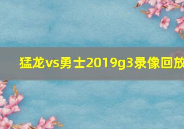 猛龙vs勇士2019g3录像回放