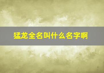 猛龙全名叫什么名字啊