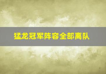 猛龙冠军阵容全部离队