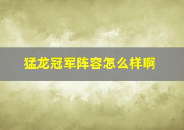 猛龙冠军阵容怎么样啊