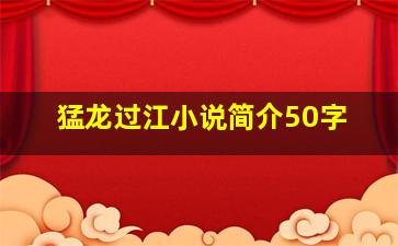 猛龙过江小说简介50字