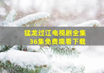 猛龙过江电视剧全集36集免费观看下载