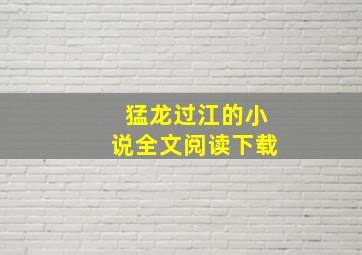 猛龙过江的小说全文阅读下载