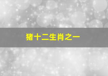 猪十二生肖之一