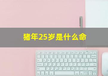 猪年25岁是什么命