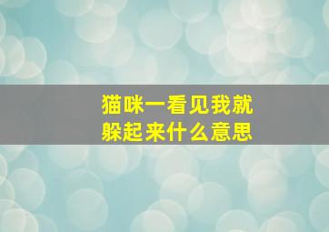 猫咪一看见我就躲起来什么意思