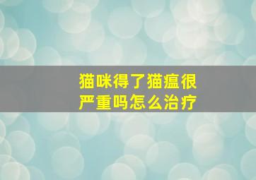 猫咪得了猫瘟很严重吗怎么治疗