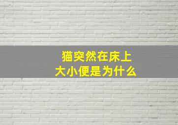 猫突然在床上大小便是为什么