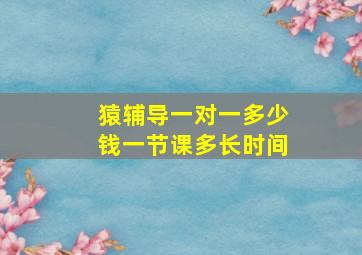 猿辅导一对一多少钱一节课多长时间