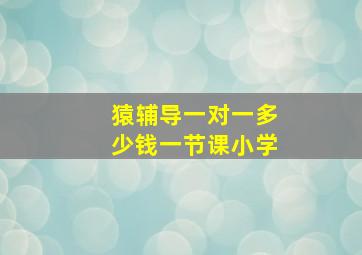 猿辅导一对一多少钱一节课小学