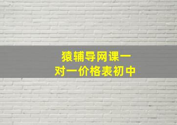 猿辅导网课一对一价格表初中