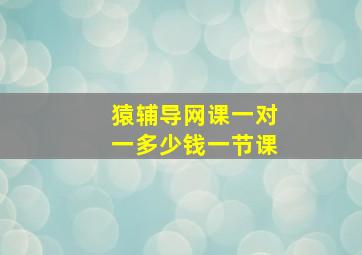 猿辅导网课一对一多少钱一节课